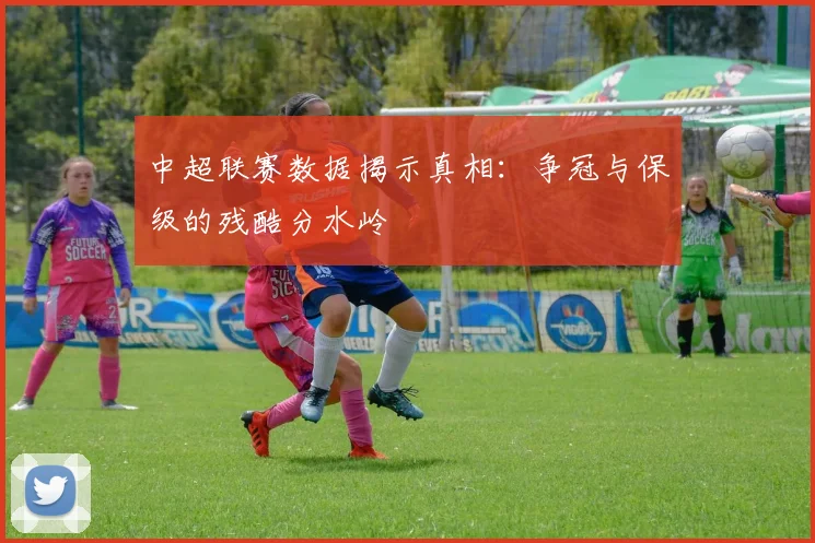 中超联赛数据揭示真相:争冠与保级的残酷分水岭